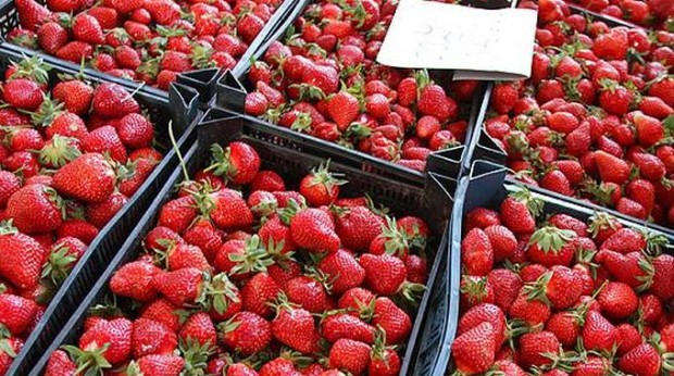 Столичанка си купи ягоди от пазара в "Люлин" и съжали жестоко СНИМКА 
