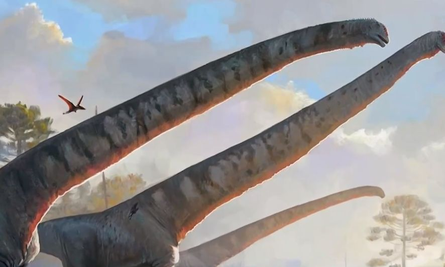 Откриха нов динозавър - с врат по-дълъг от автобус ВИДЕО 