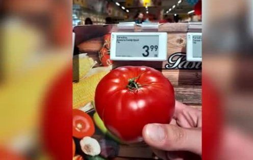 4 лв. за един домат в хипермаркетите, а на пазарите...ВИДЕО