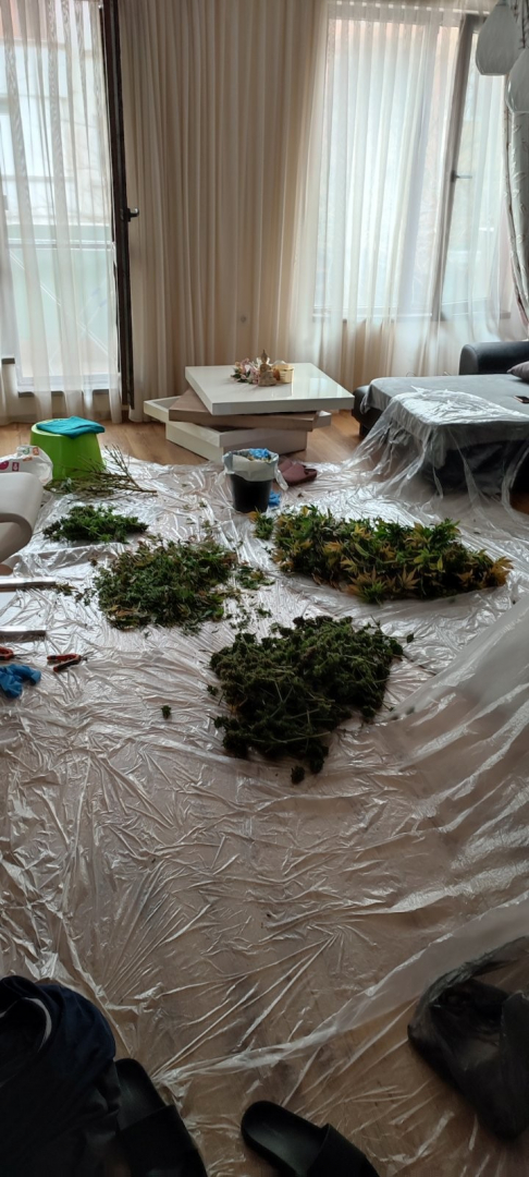 Полицаи влязоха в апартамент и две къщи в Пазарджишко и ахнаха ВИДЕО