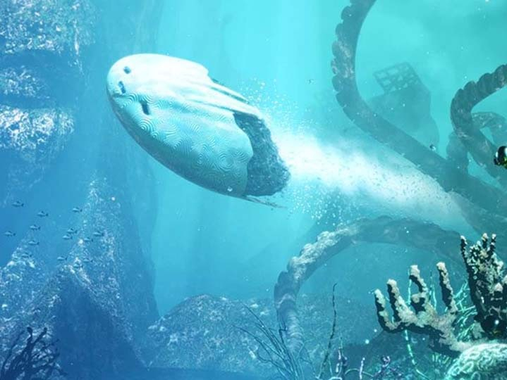 Неидентифициран подводен обект бе заснет във водите на Мексиканския залив ВИДЕО