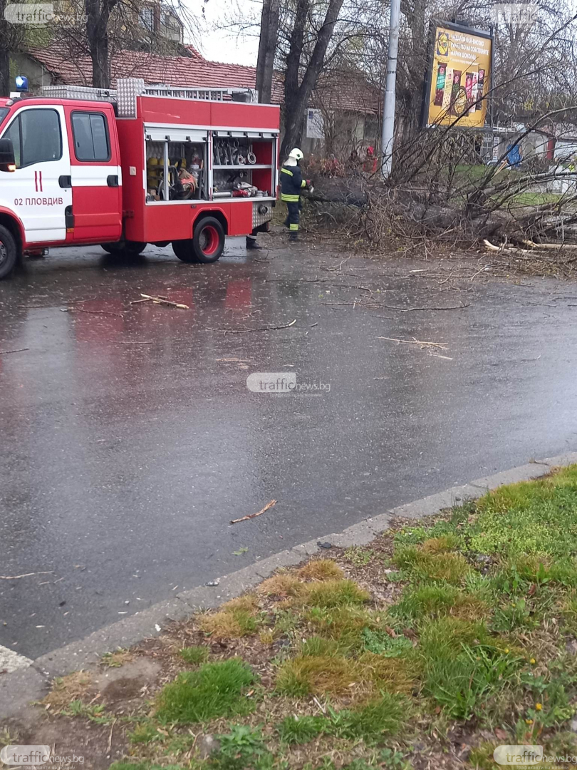 В Пловдив е страшно: Библейска буря удари града, дърво смаза джип в движение ВИДЕО