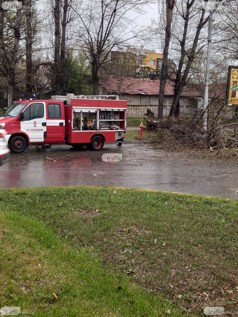 В Пловдив е страшно: Библейска буря удари града, дърво смаза джип в движение ВИДЕО