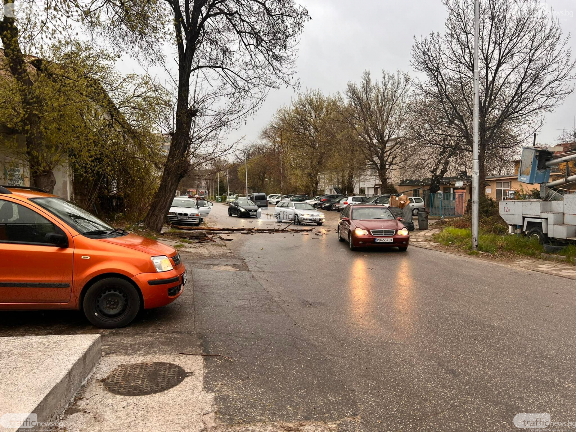 В Пловдив е страшно: Библейска буря удари града, дърво смаза джип в движение ВИДЕО