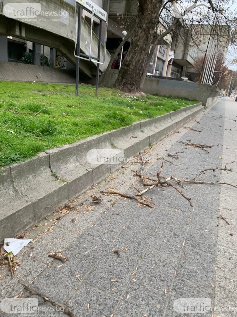 В Пловдив е страшно: Библейска буря удари града, дърво смаза джип в движение ВИДЕО