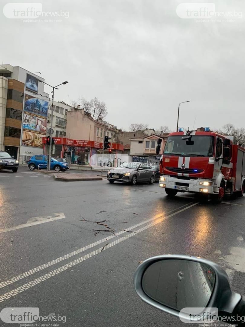 В Пловдив е страшно: Библейска буря удари града, дърво смаза джип в движение ВИДЕО