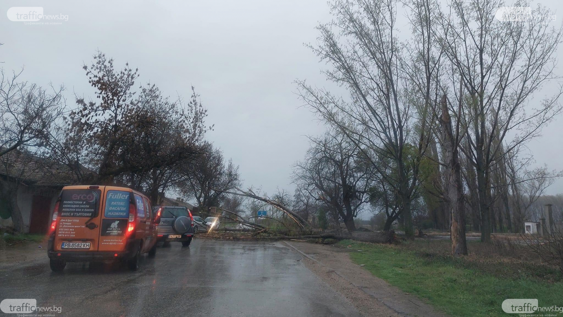 В Пловдив е страшно: Библейска буря удари града, дърво смаза джип в движение ВИДЕО