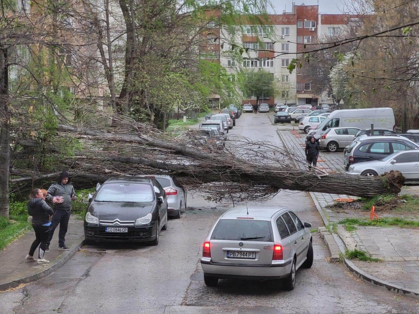 В Пловдив е страшно: Библейска буря удари града, дърво смаза джип в движение ВИДЕО