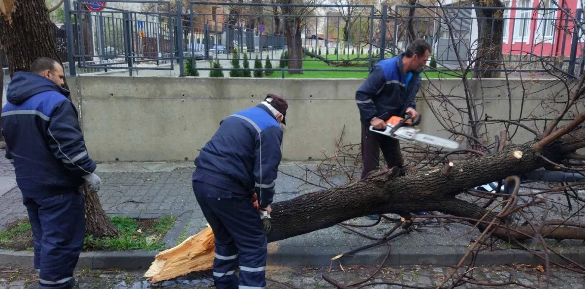 Пожарната в Пловдив с важна информация за щетите в града след ураганния вятър