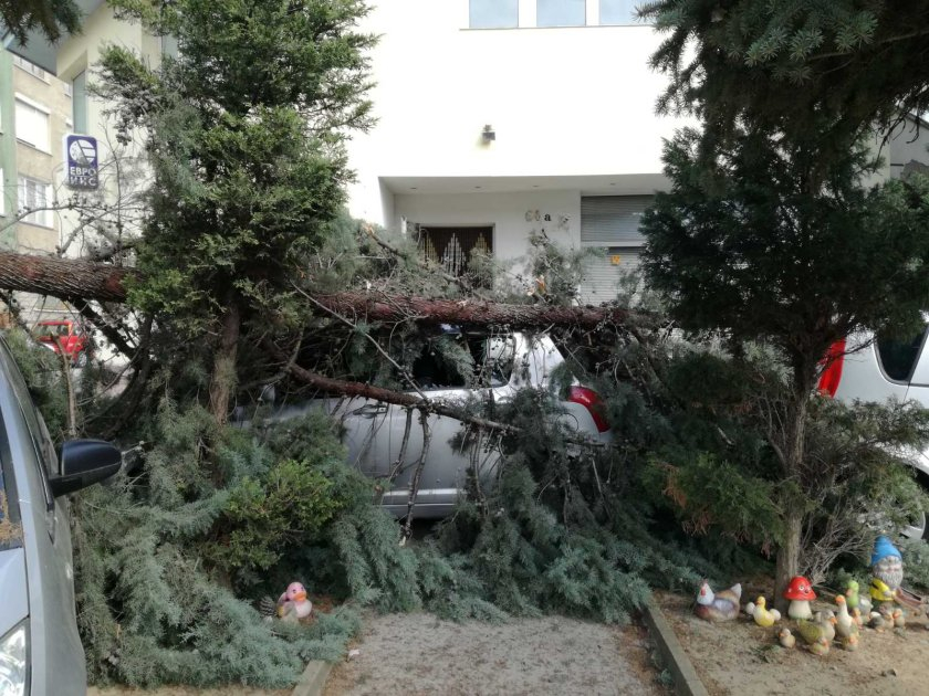 Страшна стихия брули България, помита всичко по пътя си ВИДЕО 
