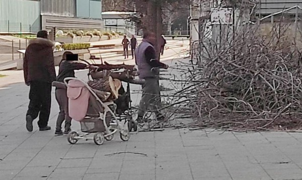 Пловдивчани гледат какво прави тази групичка на метри от пазара и не вярват на очите си СНИМКИ 