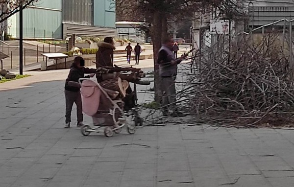 Пловдивчани гледат какво прави тази групичка на метри от пазара и не вярват на очите си СНИМКИ 