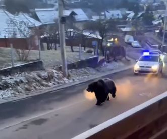 Сензационно ВИДЕО: Като полицейската гонка от българско село друга не е имало! 