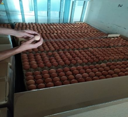 Гърция спря хиляди яйца от България за столицата и 2 острова