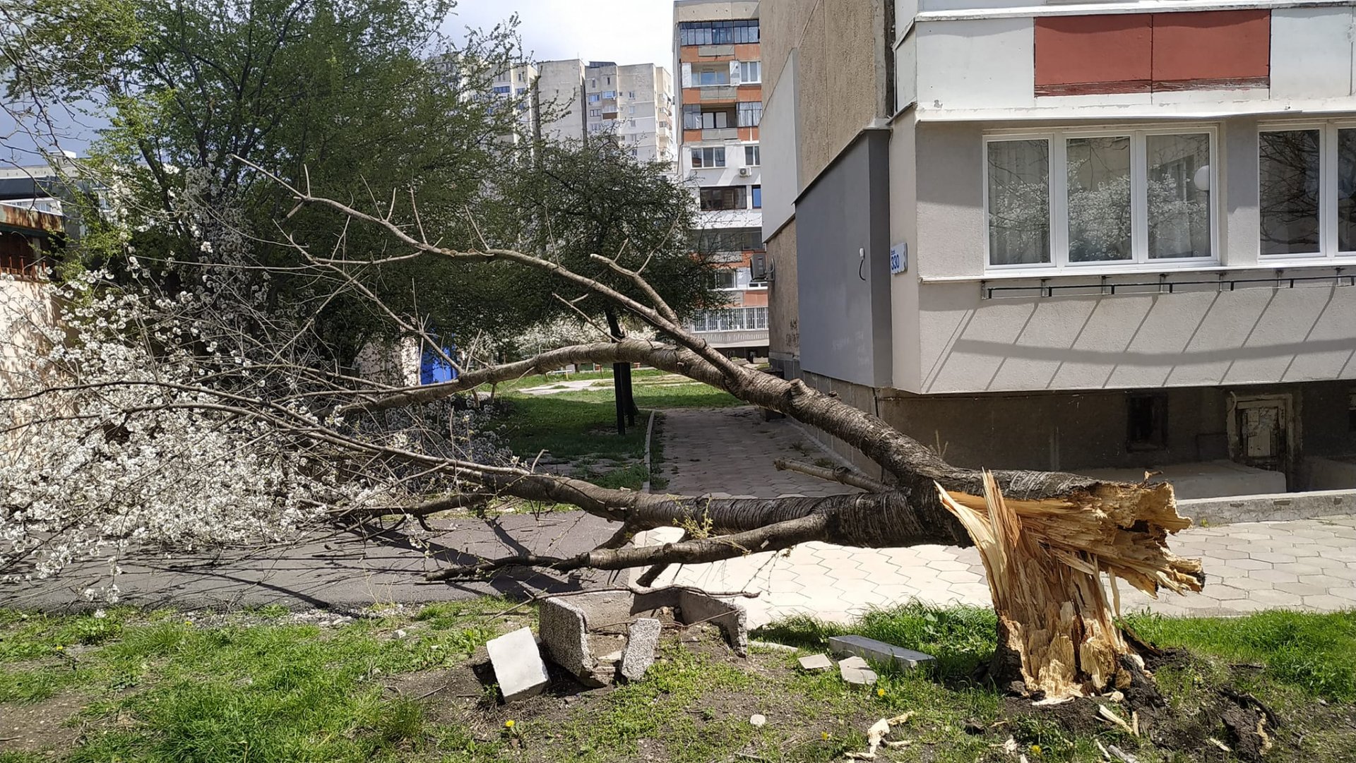 В София е като на война, зрелищни СНИМКИ