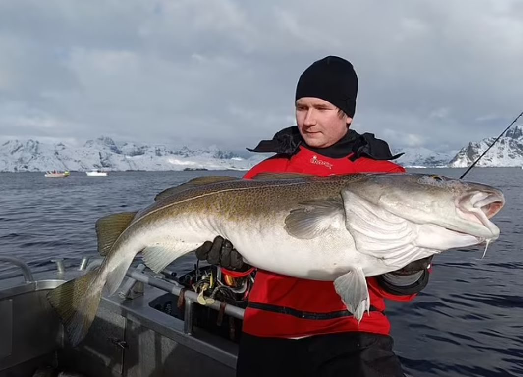 Баща и син извадиха огромно чудовище от морето СНИМКИ