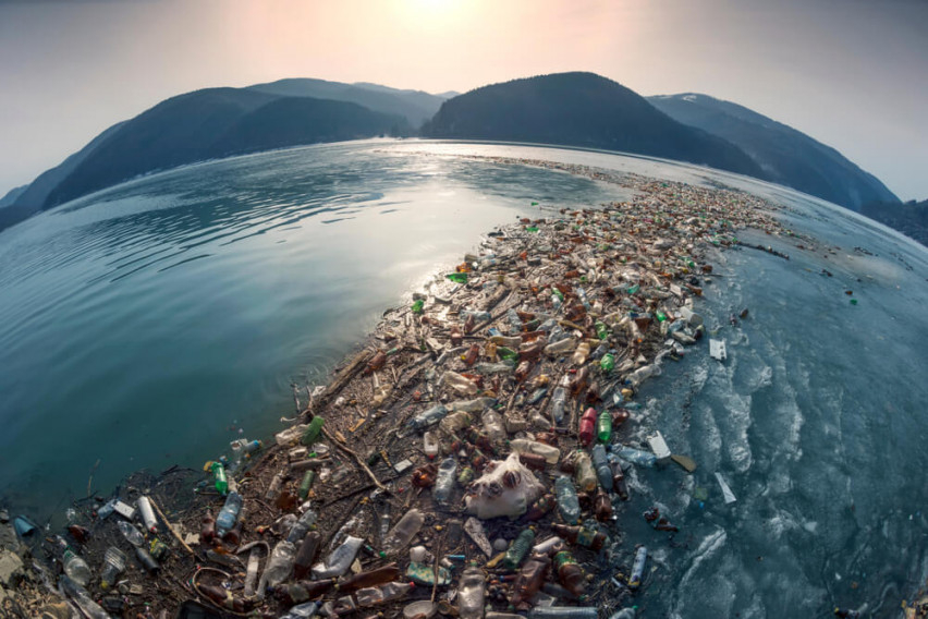 Удивително откритие на учените: Роди се живот на остров от боклук