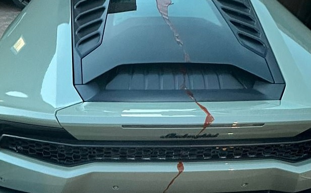 Деца поляха Lamborghini с кетчуп: Сметката за измиването шокира родителите СНИМКА