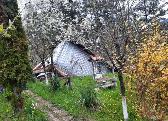 Пещерата, зейнала в частен имот в Смолян, взе първи жертви ВИДЕО 