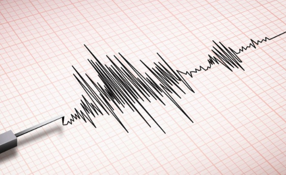 Мощно земетресение предизвика заплаха от цунами