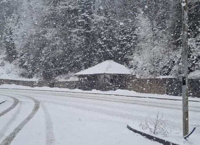 Пролет ли? Сняг заваля в тази област в България ВИДЕО