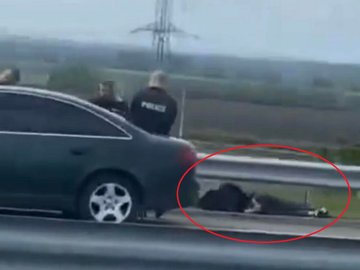Мистериозен екшън с окован с белезници мъж, лежащ на пътя за Българево ВИДЕО