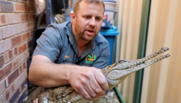 Намериха крокодил в заден двор на най-неочакваното място в света ВИДЕО
