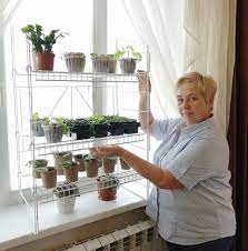 Пенсионерката Светлана: Ето как да засадите билки на прозореца в апартамента