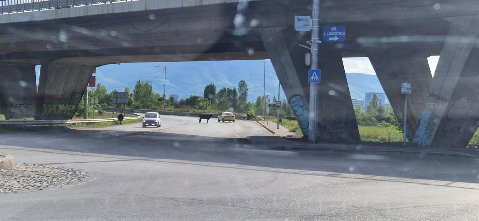 СНИМКА позори България, ние ли сме "Дивият запад на Балканите"