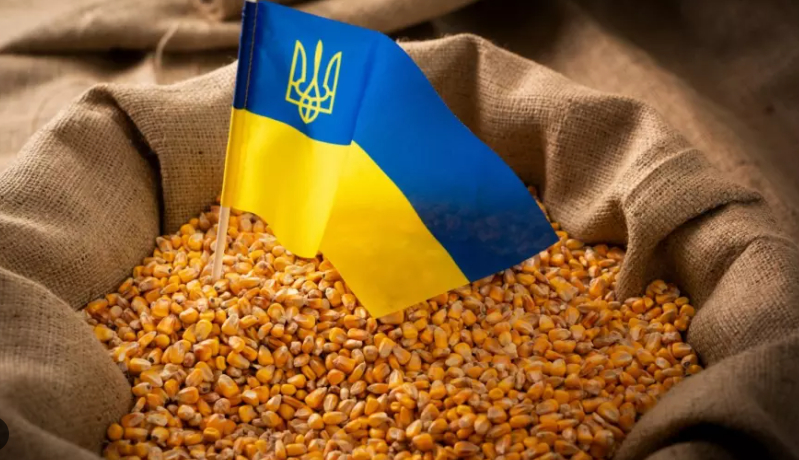 България и тези страни искат корекция на забраната на вноса на храни от Украйна