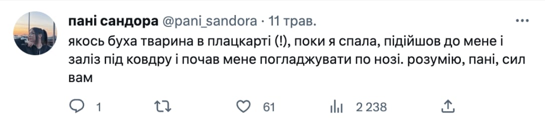 Украинки пропищяха от случки във влаковете в страната им, искат да стане като в Исляма 