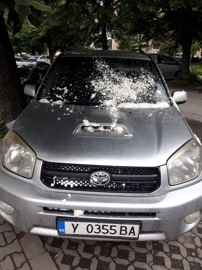 Жестоко отмъщение срещу кола в Стара Загора, местните не са виждали такова СНИМКИ