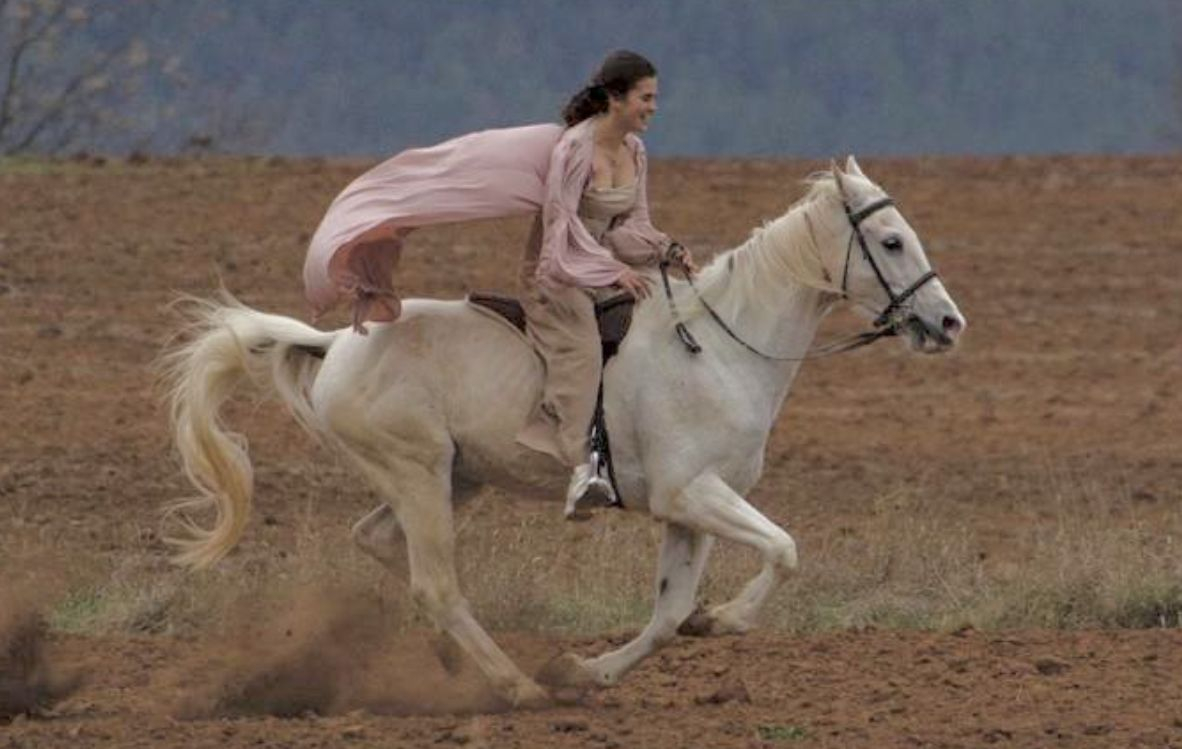 Конят Шифър хвърли ездачката си и изчезна край софийското село Равно поле СНИМКИ