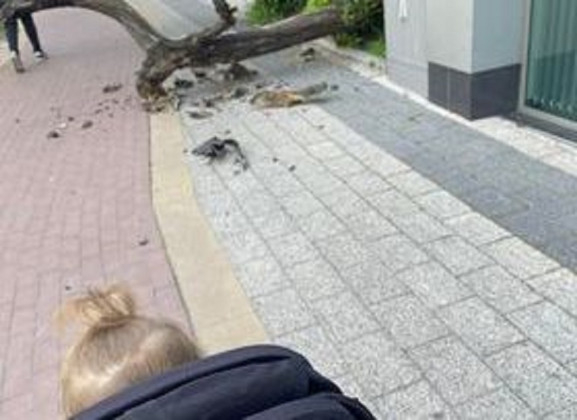 Майка с дете преживя неописуем ужас на централен пловдивски булевард СНИМКИ 