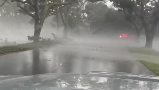 Летящи дървета: ВИДЕО запечата страховита стихия във Флорида