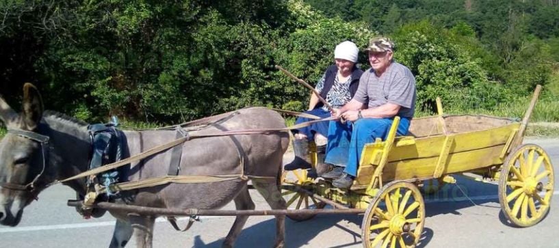 Такова нещо в Тополовградско вече не се вижда СНИМКА