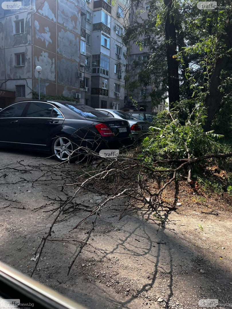 Собственик на нов "Мерцедес" щеше да получи удар, когато видя какво му се е случило СНИМКИ