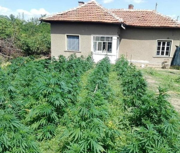 Цената на тази къща за продажба в Пловдивско запали мрежата