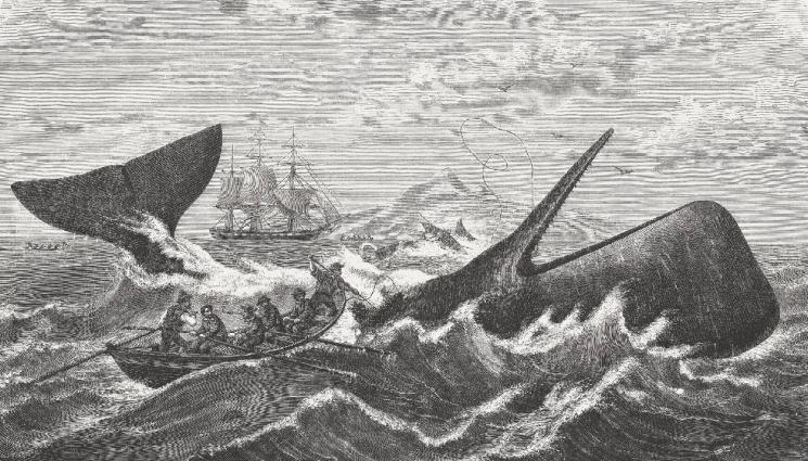Най-мистериозните морски истории, които смразяват кръвта и до днес