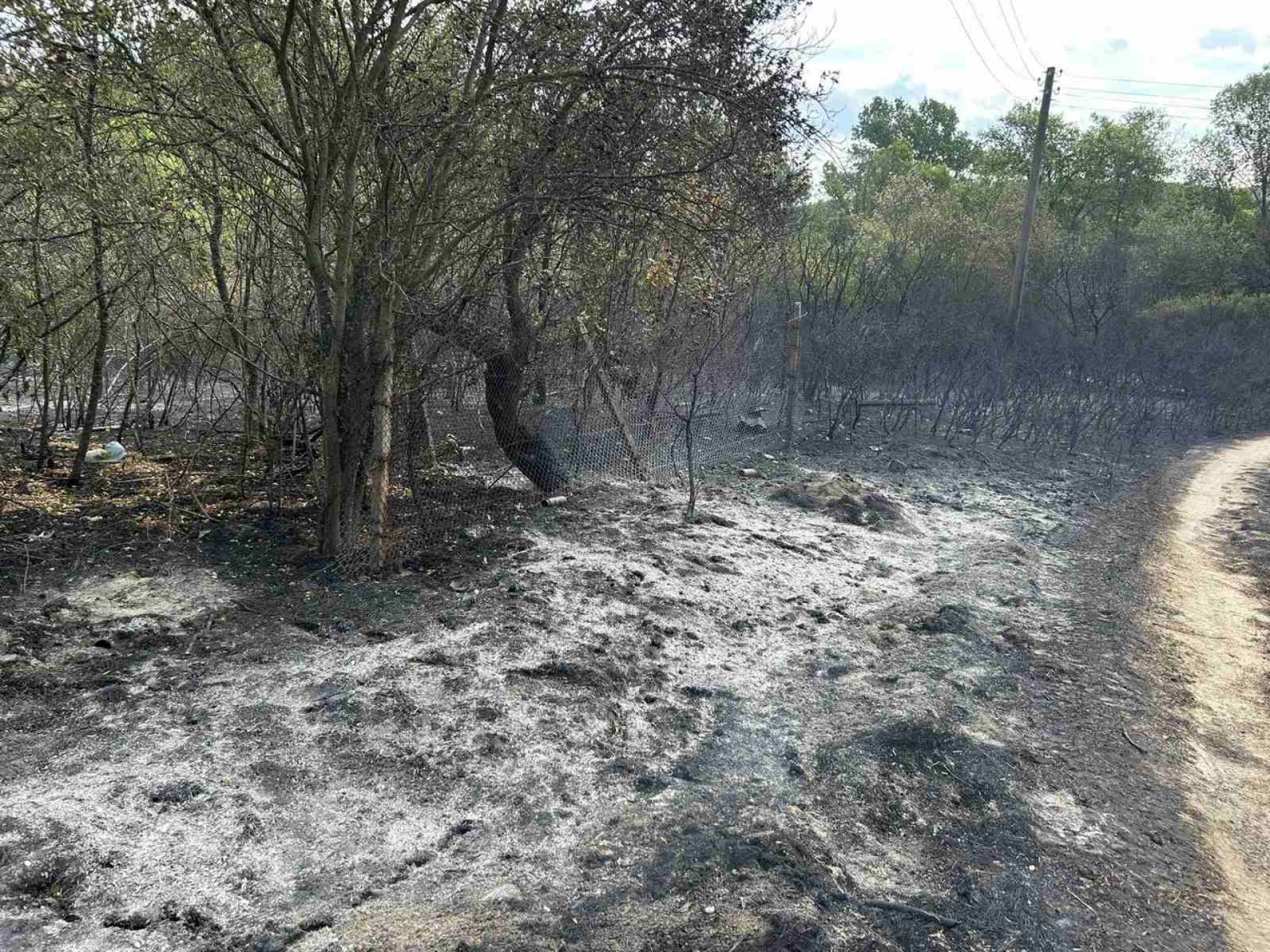 Истински огнен ужас във вилната зона край Хисаря СНИМКИ  