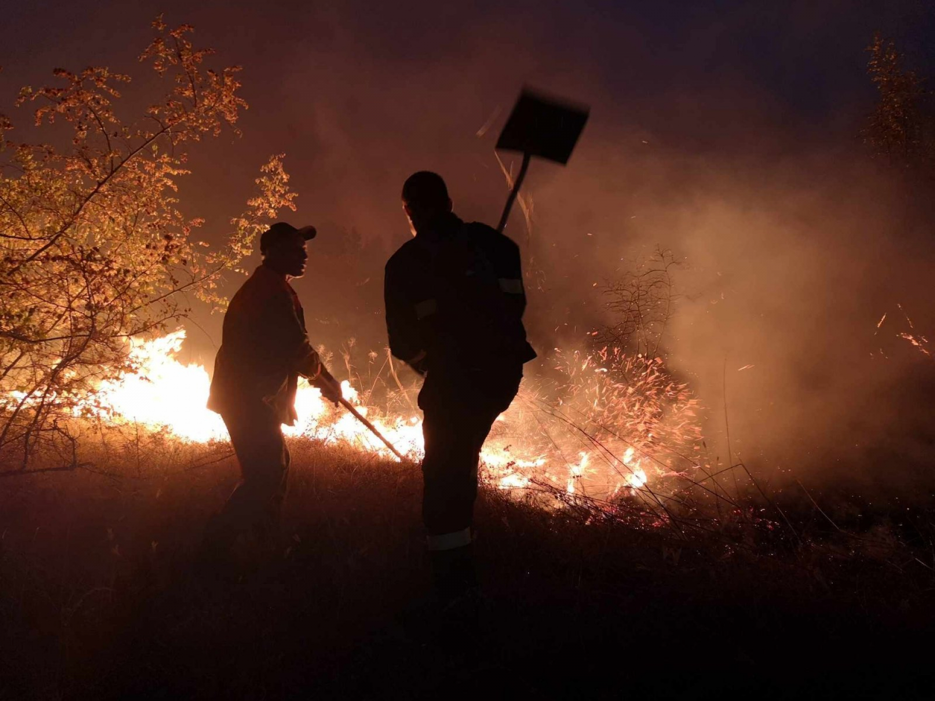 От пожарната с последни новини за огнения ад в Пазарджишко
