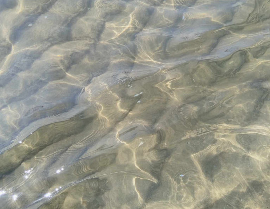 Турист показа СНИМКИ на водата от известен БГ плаж, ще онемеете