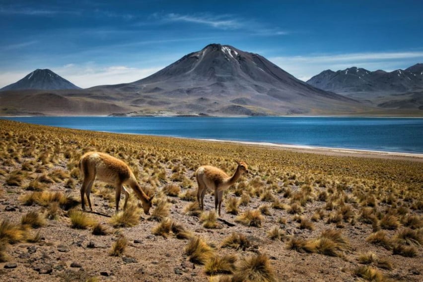 Най-старата пустиня в света: Къде е най-слънчевото място на нашата планета?