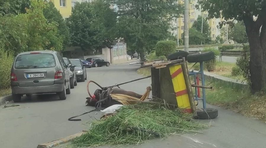 Тъжна СНИМКА от хасковска улица потресе мрежата 