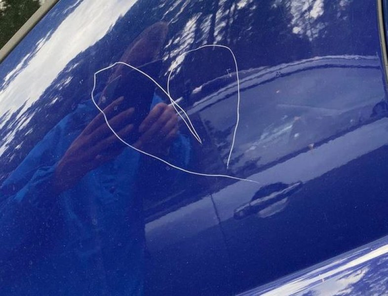 Мъж паркира колата си на самоковска хижа и онемя от видяното след това СНИМКА