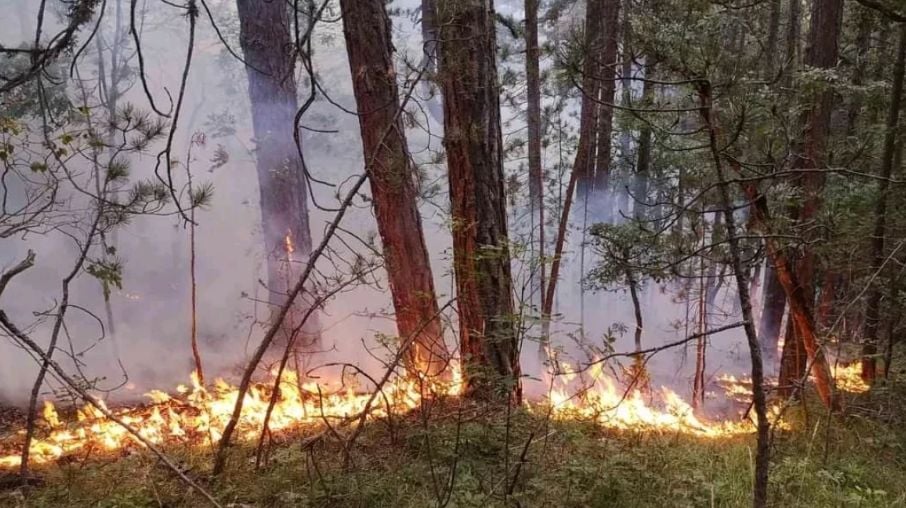 Мълния падна в Родопите и стана страшно СНИМКИ