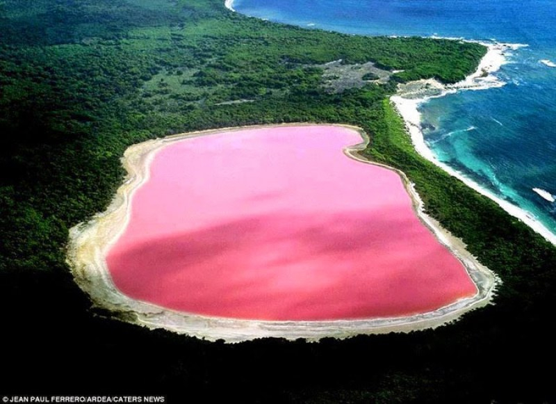 Ще се влюбите: Най-красивите розови езера, които трябва да видите! СНИМКИ