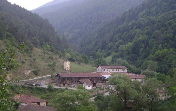 Село в сърцето на Родопите се сдоби с необикновен жител ВИДЕО 