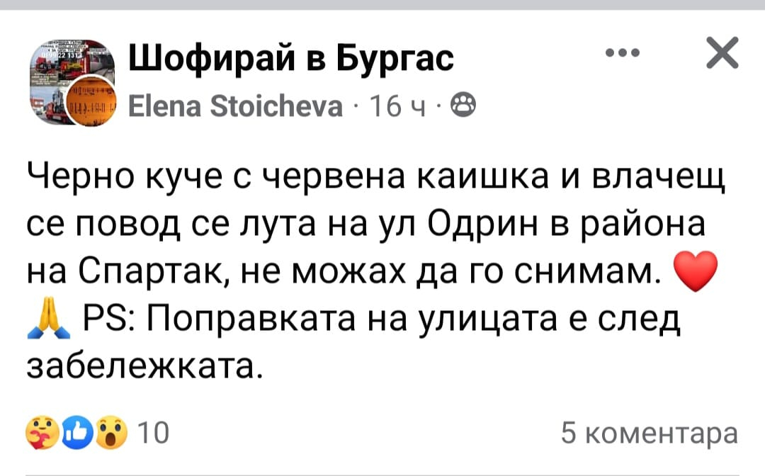 Мистерия с изчезнала германка и кучето ѝ в Несебър СНИМКИ