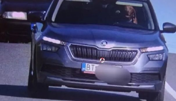 Мъж сложи кучето си на шофьорското място в колата си и жестоко си изпати СНИМКА